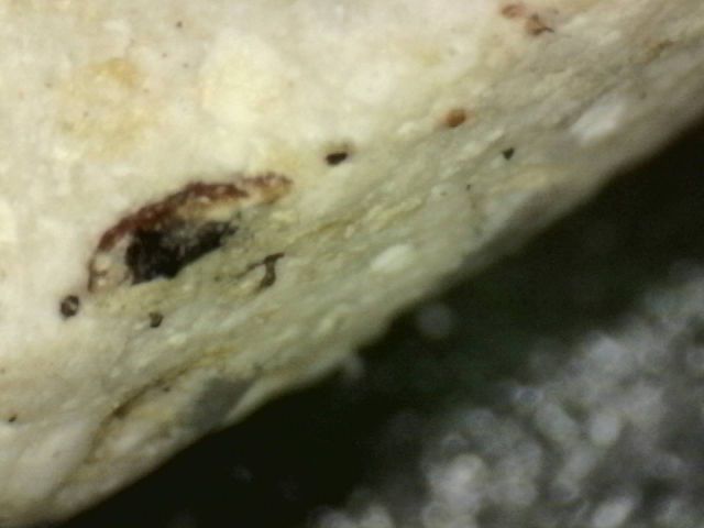 ขายพระบ้าน รูปที่ 11