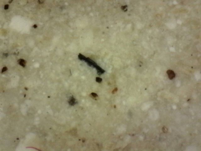 ขายพระบ้าน รูปที่ 13