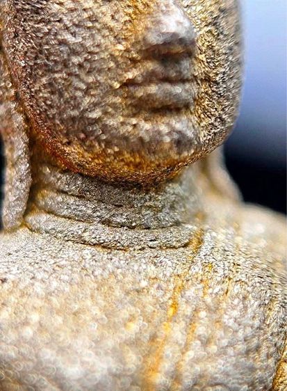 หลวงพ่อโสธร 80 ปี กรมตำรวจ รูปที่ 4