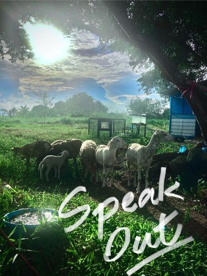 สอนพูดอังกฤษ  ออนไลน์ เจอตัว เด็กผู้ใหญ่ รูปที่ 4