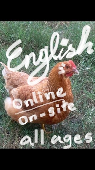 สอนพูดอังกฤษ  ออนไลน์ เจอตัว เด็กผู้ใหญ่