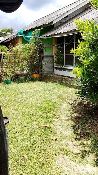 อื่นๆ ตกแต่งครบ 2017 บ้านพร้อมสวน พื้นที่ 1 ไร่ รูปที่ 3