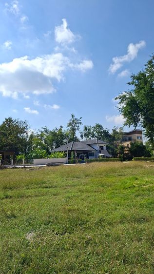 ขายที่ดินทำเลดี ใกล้ตลาด โซนต้นเปา-สันกำแพง สภาพแวดล้อมดี ราคาถูกๆ รูปที่ 4