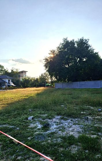 ขายที่ดินทำเลดี ใกล้ตลาด โซนต้นเปา-สันกำแพง สภาพแวดล้อมดี ราคาถูกๆ