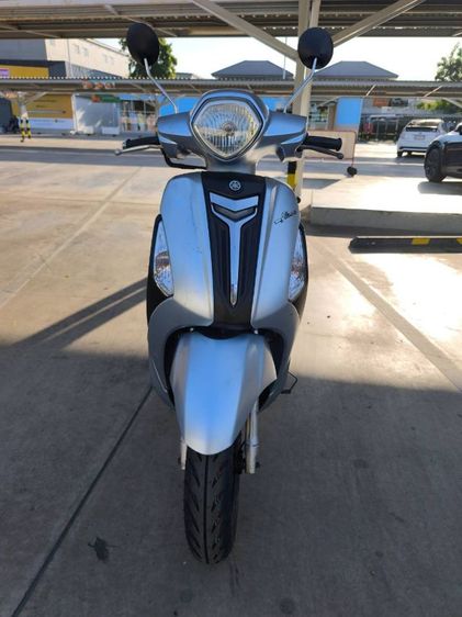 𝗚𝗿𝗮𝗻𝗱 𝗙𝗶𝗹𝗮𝗻𝗼 ปี 2017
เล่มเขียวครบพร้อมชุดโอน