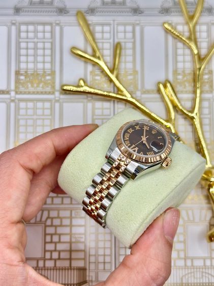 Rolex lady datejust ช็อคโกแลต รูปที่ 2