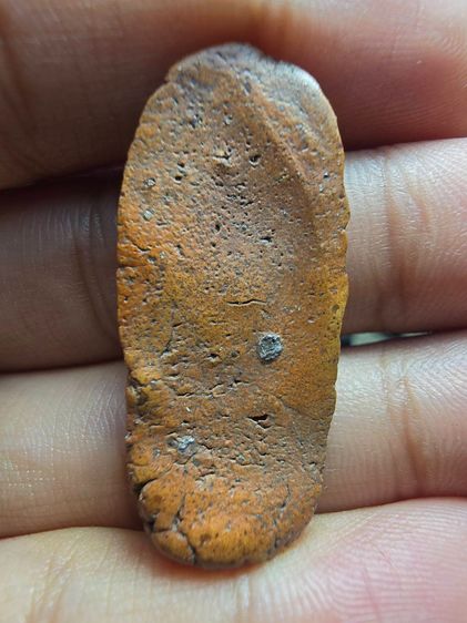 พระลีลาเม็ดขนุน AA011 รูปที่ 2