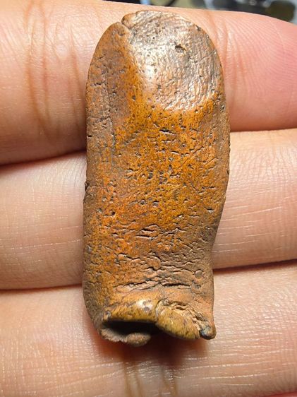 พระลีลาเม็ดขนุน AA014 รูปที่ 2