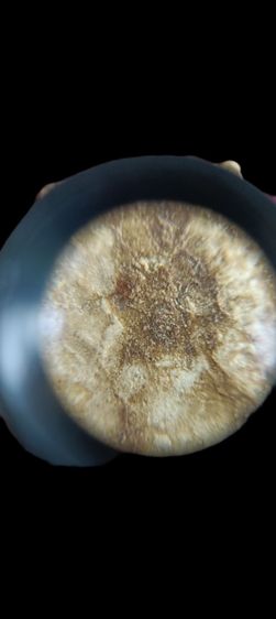 สมเด็จพิมพ์เส้นด้ายวัดบางขุนพรหม รูปที่ 4