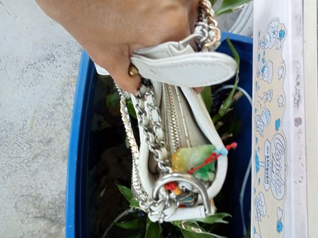 ขายชาแนลกาเบรียลาไซร์เล็ก รูปที่ 3