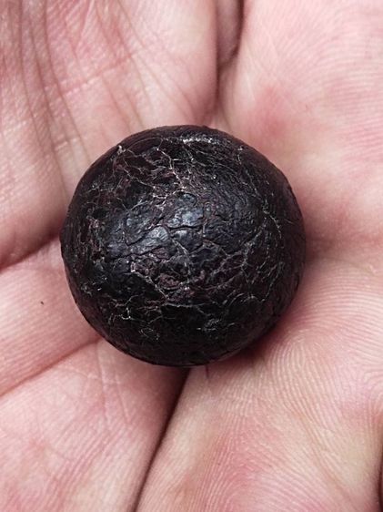 ลูกอมครั่ง หลวงพ่อทองศุข วัดโตนดหลวง รูปที่ 4