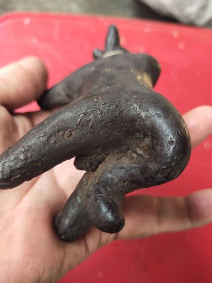 วัวธนูเนื้อครั่งพุทรา หลวงพ่อน้อย วัดศรีษะทอง  รูปที่ 6