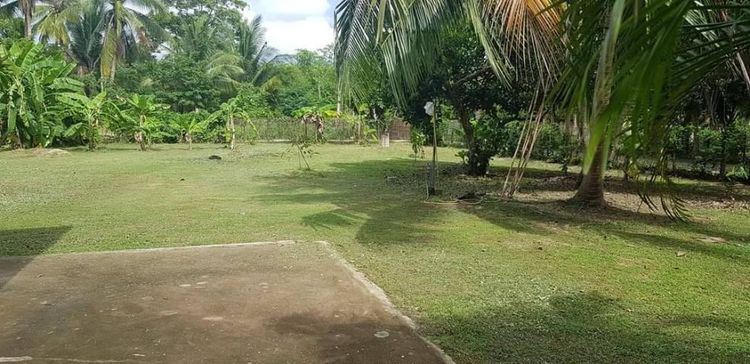 ไม่มี บ้านพร้อมที่ดิน รูปที่ 2