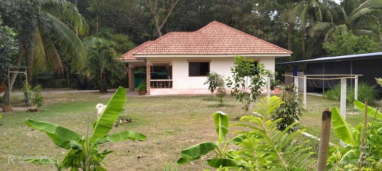 บ้านพร้อมที่ดิน