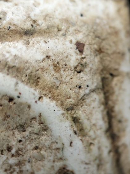 พระสมเด็จครับคราบเหงื่อไคลติดไม่ได้ล้างครับ รูปที่ 9