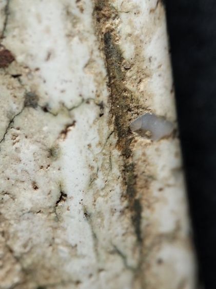 พระสมเด็จครับคราบเหงื่อไคลติดไม่ได้ล้างครับ รูปที่ 13