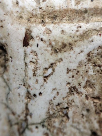 พระสมเด็จครับคราบเหงื่อไคลติดไม่ได้ล้างครับ รูปที่ 5