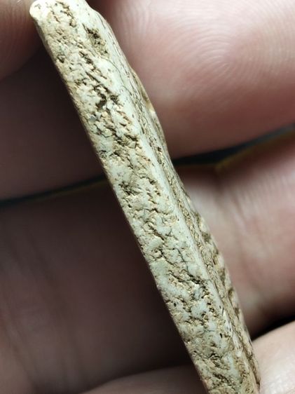 พระสมเด็จครับคราบเหงื่อไคลติดไม่ได้ล้างครับ รูปที่ 15