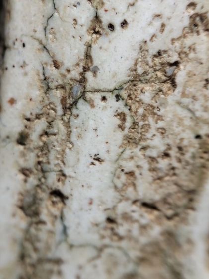 พระสมเด็จครับคราบเหงื่อไคลติดไม่ได้ล้างครับ รูปที่ 7