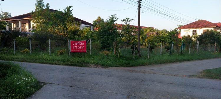 ขายที่ดิน 271 ตร.วา ในหมู่บ้านสันติ ใกล้แยกหลุยส์
