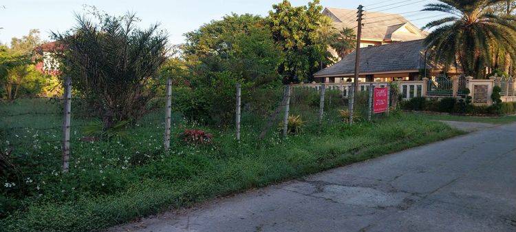 ขายที่ดิน 271 ตร.วา ในหมู่บ้านสันติ ใกล้แยกหลุยส์ รูปที่ 4