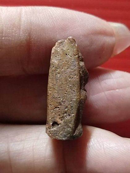 พระนางพญา เก่าเก็บ รูปที่ 4