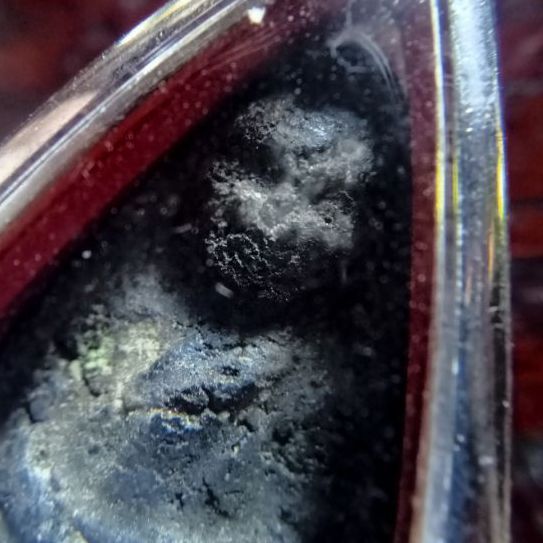 หลวงปู่ทวด รูปที่ 4