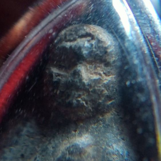 ปู่ทวดเนื้อว่านสวยๆ รูปที่ 5