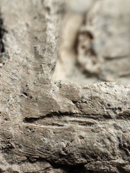 ❌ปิดครับ❌หลวงพ่อโตบางกระทิงอยุธยาครับ รูปที่ 11