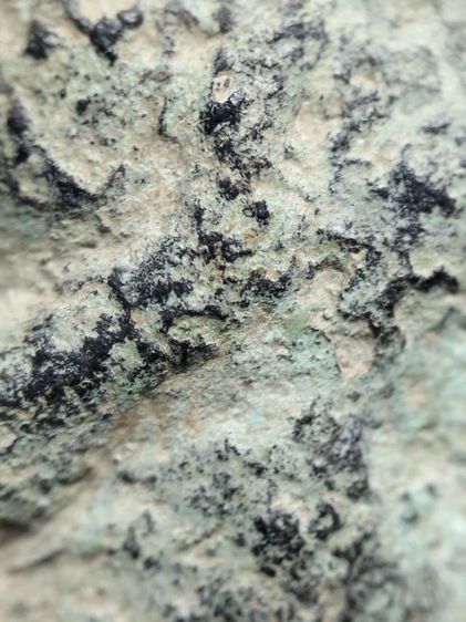 พระร่วงครับ รูปที่ 6