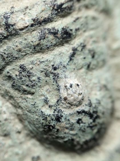 พระร่วงครับ รูปที่ 2