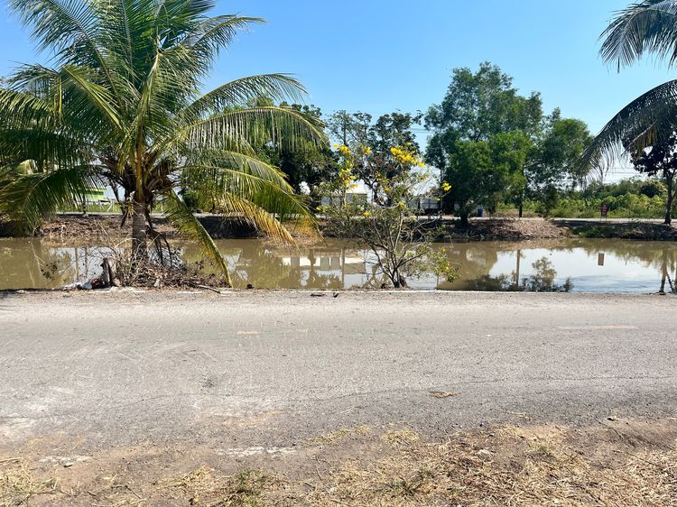 ที่ดินสวยคลอง5 คลองหลวง รูปที่ 2