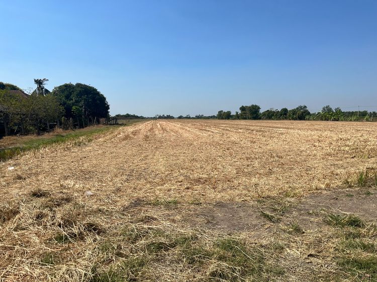 ที่ดินสวยคลอง5 คลองหลวง รูปที่ 4