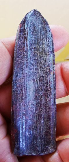 พระร่วง​หลัง​ราง​ปืน​สนิม​แดง​ พิมพ์​นิยม​ กรุ​วัด​พระศรี​รัตน​มหาธาตุ​จ.สุโขทัย​ รูปที่ 4