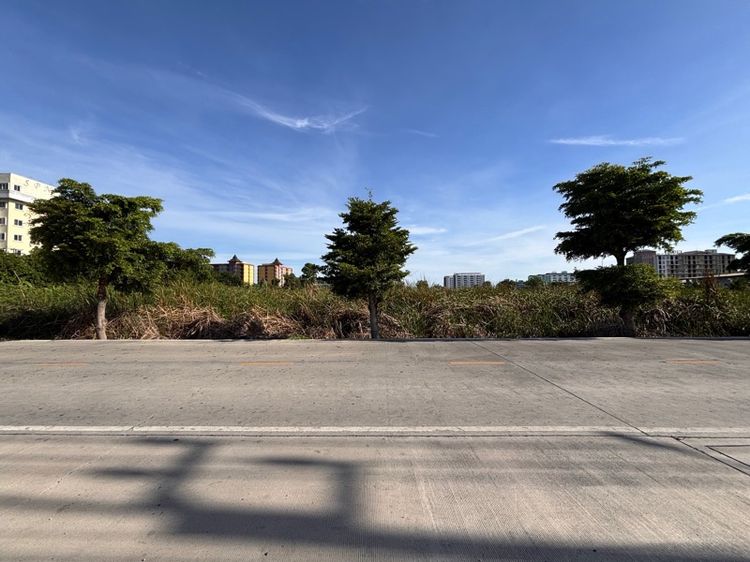 ที่ดินใกล้เอแบคบางนา