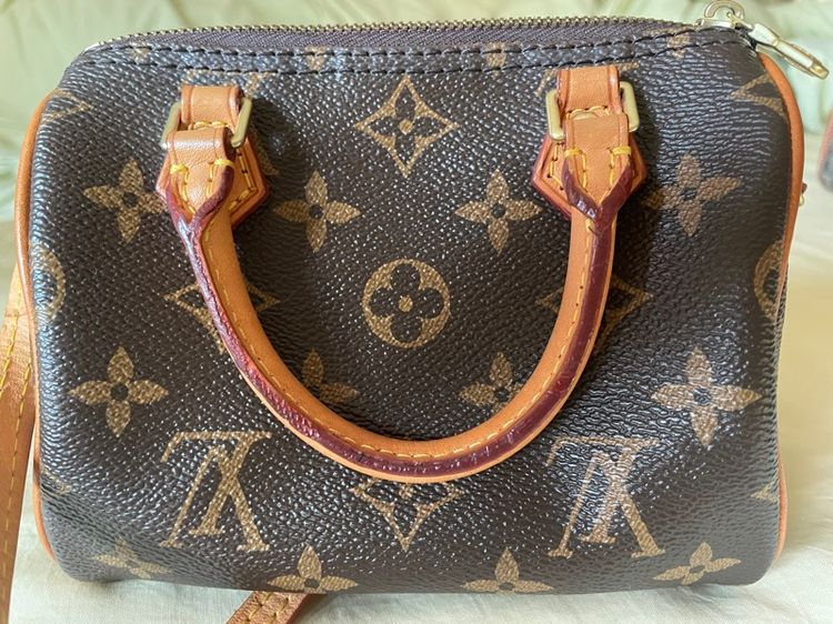 speedy ใบเล็ก รูปที่ 3