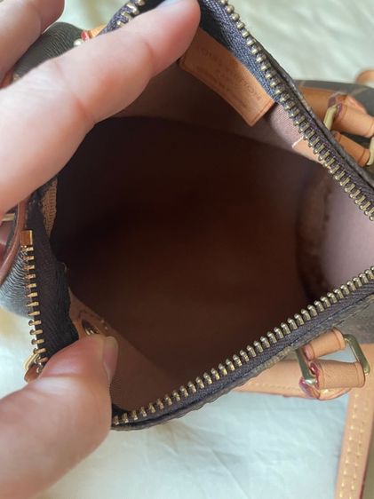 speedy ใบเล็ก รูปที่ 8