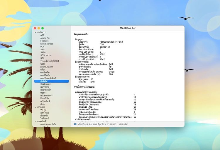 MacBook Air 13-inch 2020 Ram8GB SSD256GB Silver  รูปที่ 13
