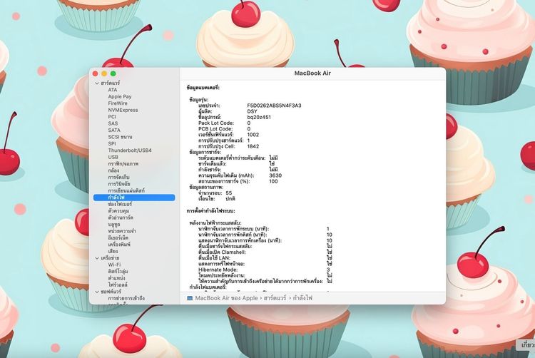 MacBook Air 13-inch 2020 Ram8GB SSD256GB Silver  รูปที่ 13