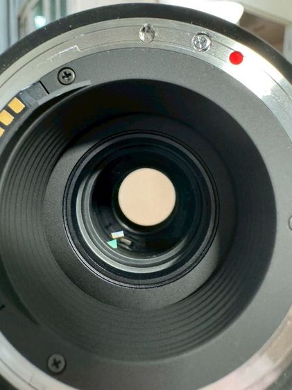 Sigma 150-600mm for canon รูปที่ 8