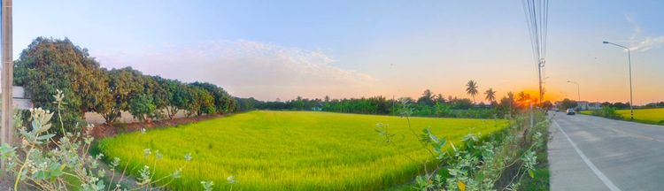 ที่ดิน 2-2-46 ไร่ ติดถนนใหญ่ อบต หนองเพรางาย ไทรน้อย นนทบุรี ถนนกว้าง 10 เมตร เหมาะสร้างโกดังสินค้า โรงงาน อู่รถยนต์ ศูนย์กระจายสินค้า