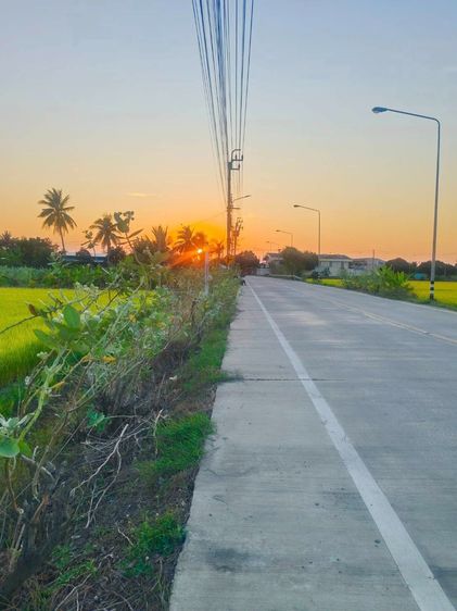 ที่ดิน 2-2-46 ไร่ ติดถนนใหญ่ อบต หนองเพรางาย ไทรน้อย นนทบุรี ถนนกว้าง 10 เมตร เหมาะสร้างโกดังสินค้า โรงงาน อู่รถยนต์ ศูนย์กระจายสินค้า รูปที่ 2