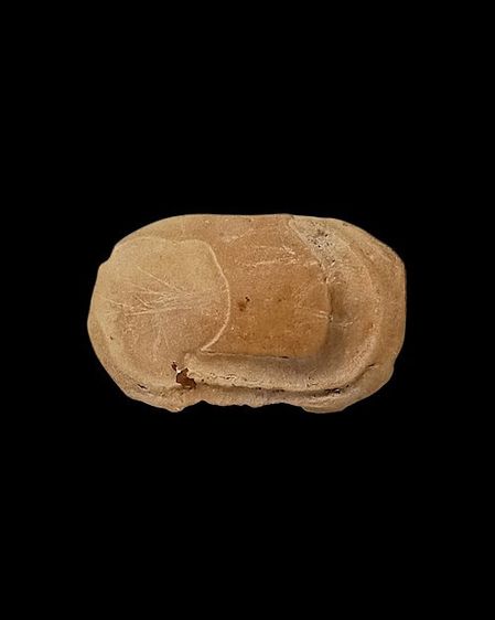 อากาศปลา หรือคตในตัวปลา ธาตุทนสิทธิ์