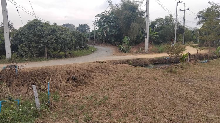 ขายที่ดินทำเลทอง รูปที่ 2