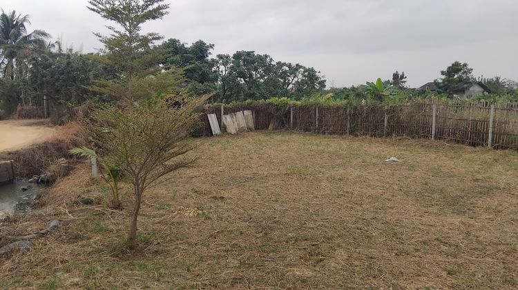 ขายที่ดินทำเลทอง รูปที่ 4