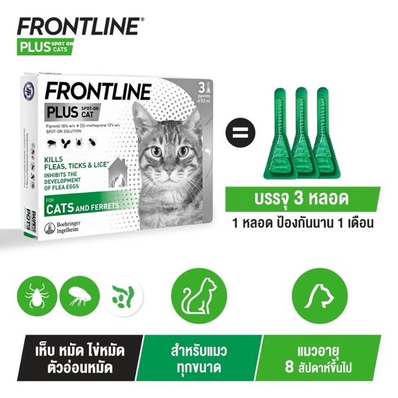 🐱ยาหยอดกำจัดหมัดแมว FRONTLINE PLUS CAT สำหรับแมว รูปที่ 5