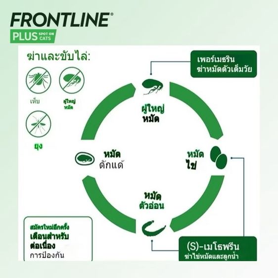 🐱ยาหยอดกำจัดหมัดแมว FRONTLINE PLUS CAT สำหรับแมว รูปที่ 9
