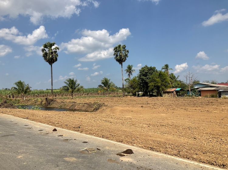 ขายที่ดินสุพรรณบุรี สองพี่น้อง 100วา เหมาะปลูกบ้าน มีน้ำไฟ น้ำไม่ท่วม ห่างกทม.แค่1ชม. รูปที่ 2