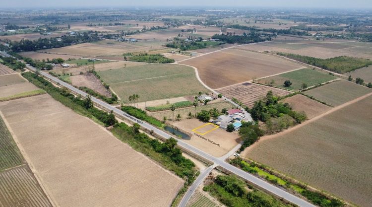 ขายที่ดินสุพรรณบุรี สองพี่น้อง 100วา เหมาะปลูกบ้าน มีน้ำไฟ น้ำไม่ท่วม ห่างกทม.แค่1ชม. รูปที่ 3