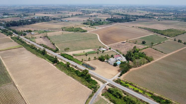 ขายที่ดินสุพรรณบุรี สองพี่น้อง 100วา เหมาะปลูกบ้าน มีน้ำไฟ น้ำไม่ท่วม ห่างกทม.แค่1ชม. รูปที่ 4